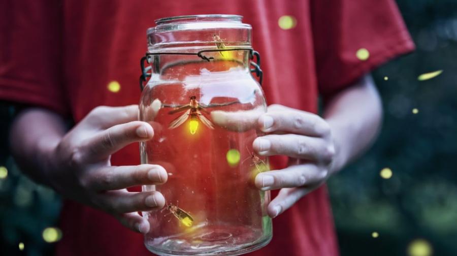 jar with fireflies