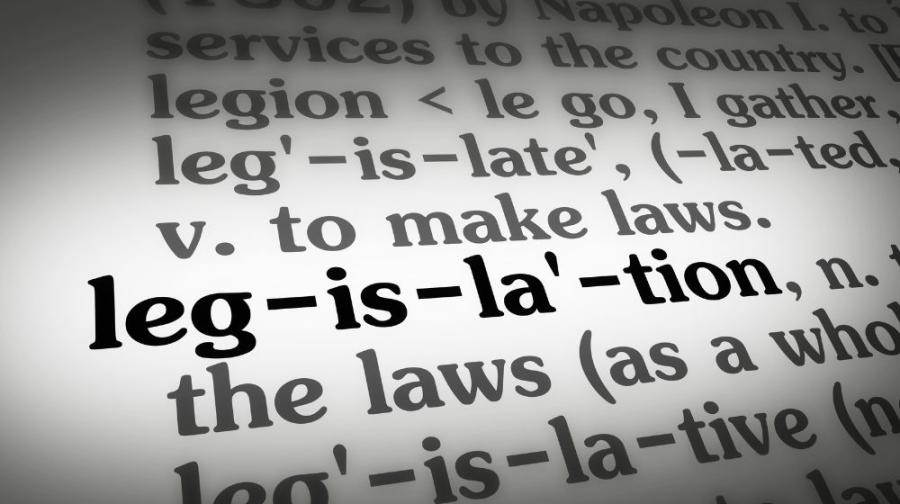 dictionary word legislation