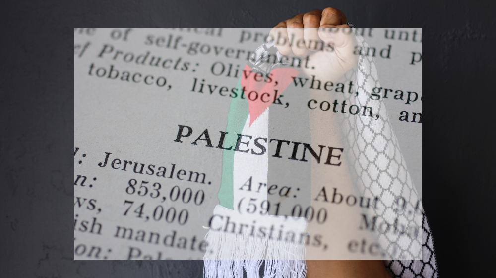 Palestine Flag