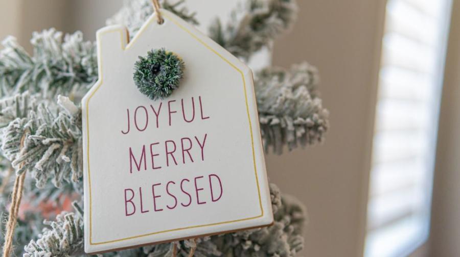 christmas ornament hanging on a tree