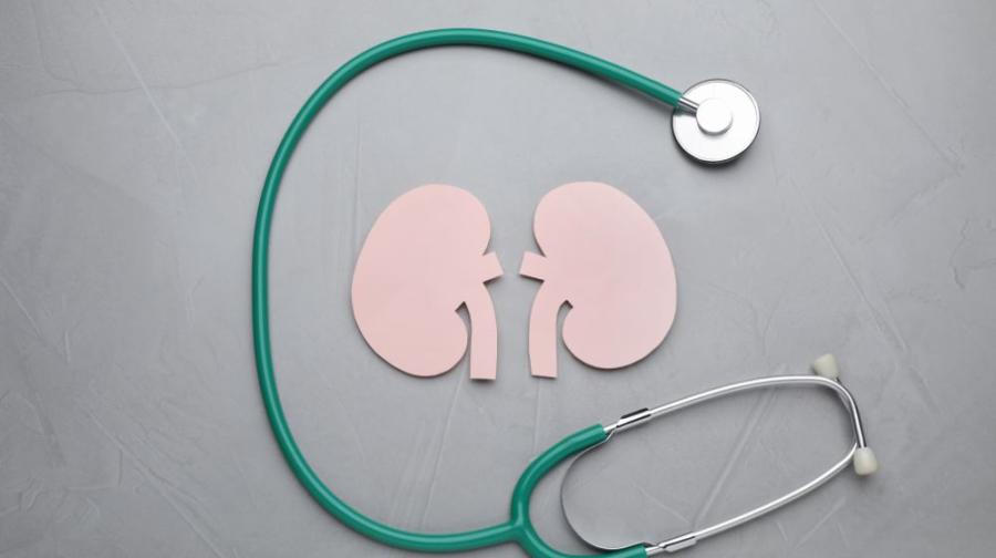 stethoscope and kidneys