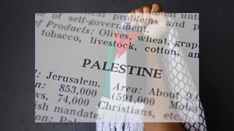 Palestine Flag